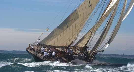 Yachts racing under spinnaker
